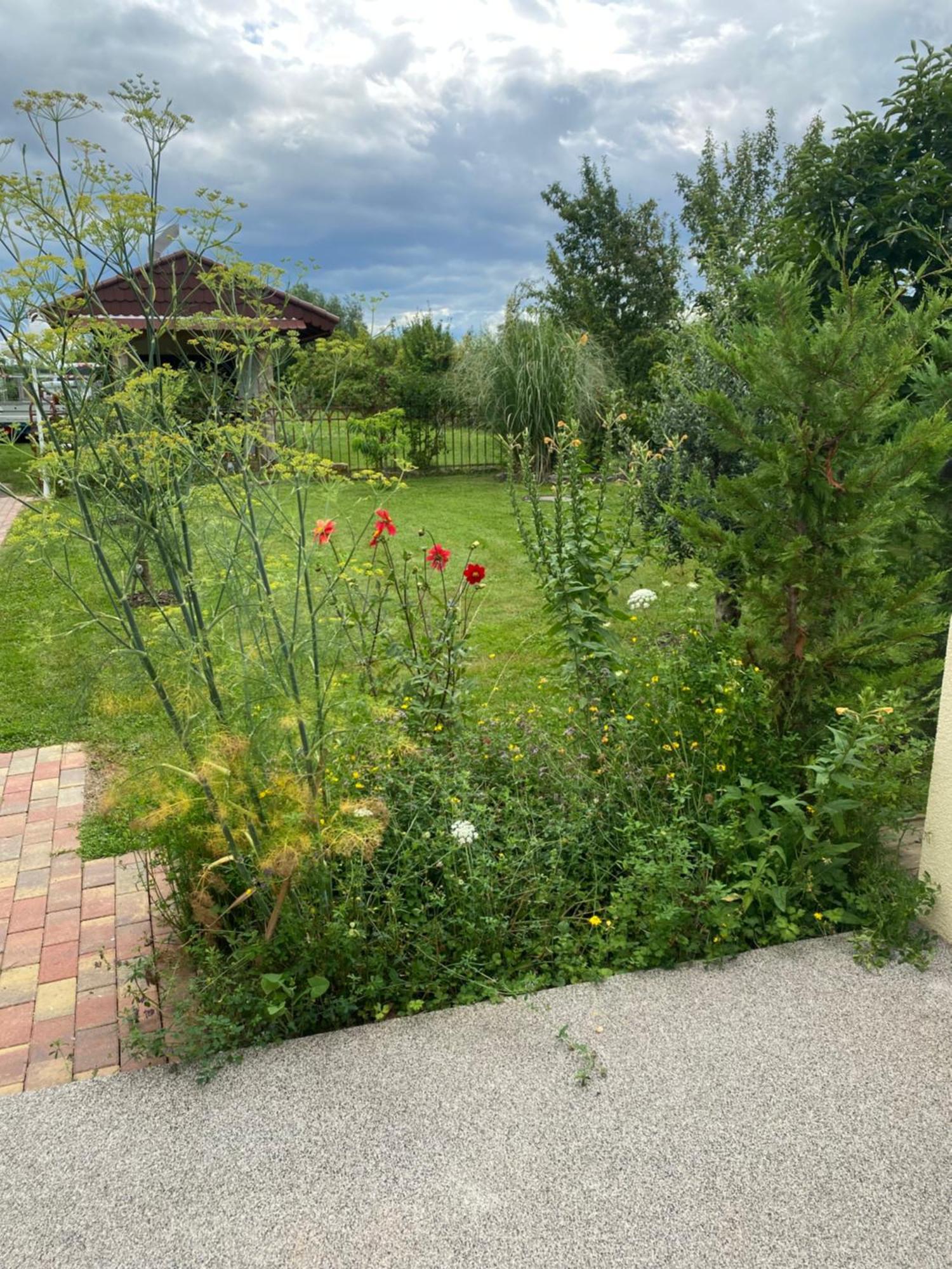 Ferienwohnung An Der Unditz 2 Neuried  Екстериор снимка